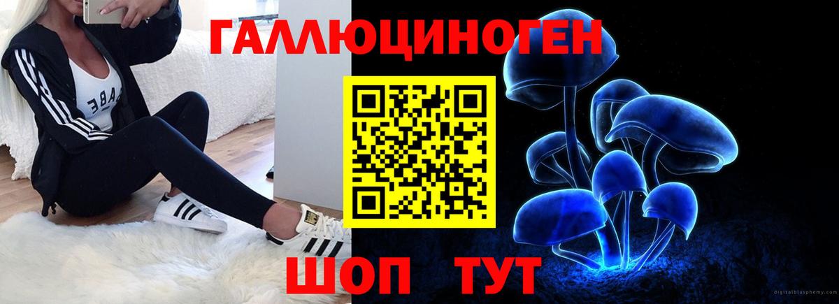 Рязань  Галлюциногенные грибы Cubensis  Вход с VPN  Галлюциногенные грибы Psilocybine cubensis 